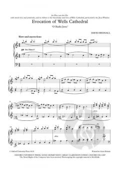 Evocation of Wells Cathedral von David Bednall (Download) 