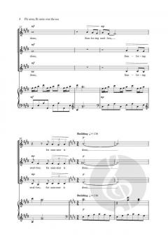 Fly away, fly away over the sea von Russell Hepplewhite (Download) 