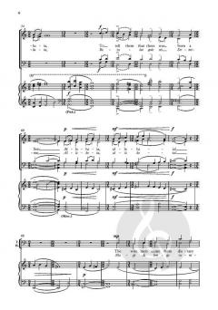 A boy is born in Bethlehem von Alan Bullard (Download) 