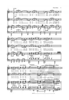 Susa ninna von Peter Louis van Dijk (Download) 