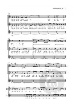 Sudrabina lietins lija von Selga Mence (Download) 