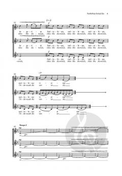 Sudrabina lietins lija von Selga Mence (Download) 