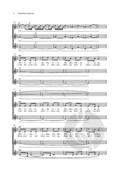 Sudrabina lietins lija von Selga Mence (Download) 