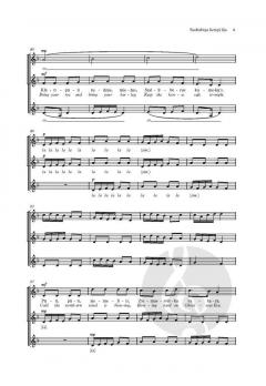 Sudrabina lietins lija von Selga Mence (Download) 