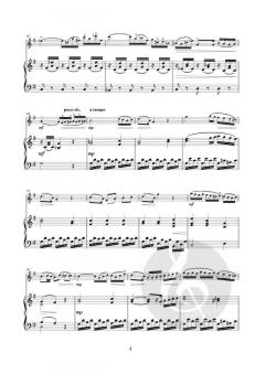 Andante: from Piano Sonata in C, K545 von Wolfgang Amadeus Mozart (Download) 