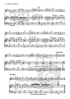 Iguazu Rapids von Ros Stephen (Download) 