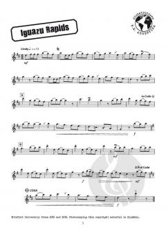 Iguazu Rapids von Ros Stephen (Download) 