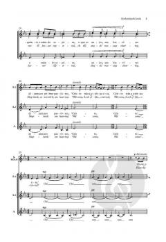 Acalentando Jesus (Sleep, little Saviour) von Ernani Aguiar (Download) 