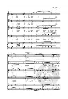 Carúl Fáilte (A Carol of Welcome) von Séamas de Barra (Download) 