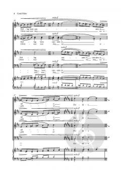 Carúl Fáilte (A Carol of Welcome) von Séamas de Barra (Download) 