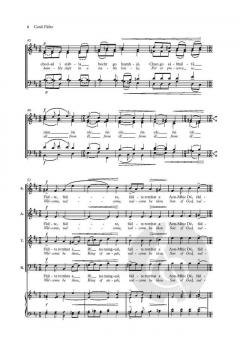 Carúl Fáilte (A Carol of Welcome) von Séamas de Barra (Download) 