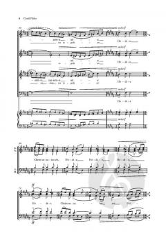 Carúl Fáilte (A Carol of Welcome) von Séamas de Barra (Download) 