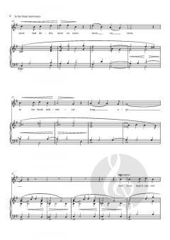 In the bleak mid-winter von Mack Wilberg (Download) 