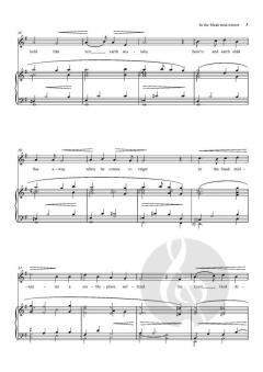 In the bleak mid-winter von Mack Wilberg (Download) 