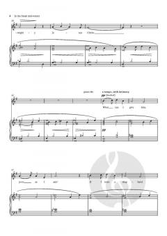 In the bleak mid-winter von Mack Wilberg (Download) 