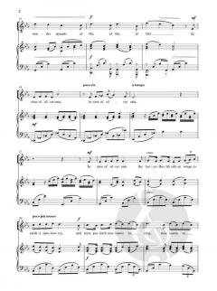 In time of silver rain (solo/high) von Sarah Quartel (Download) 