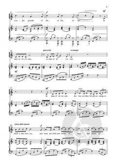 In time of silver rain von Sarah Quartel (Download) 