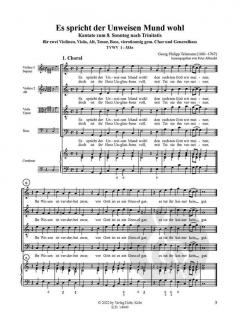 Das Schottener Kantatenarchiv 38: Es spricht der Unweisen Mund wohl TVWV 1:533a von Georg Philipp Telemann 