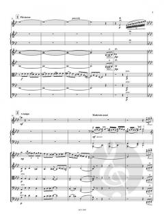 Rhapsody in Blue (Partitur und Stimmensatz) von George Gershwin 