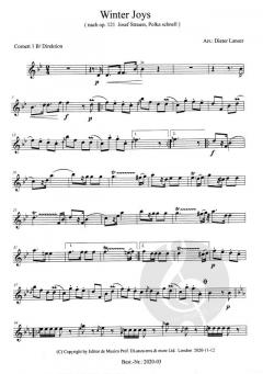 Winter Joys von Josef Strauss 