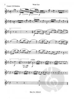 Winter Joys von Josef Strauss 