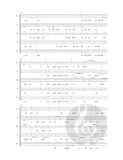 New Gesualdo Edition 3: Madrigali a 5 voci - Libro 3 von Carlo Gesualdo 