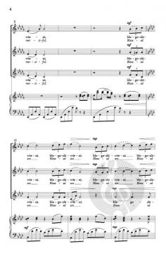 Blogoslawieni mi?osierni von Marek Raczynski 