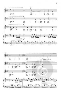 Blogoslawieni mi?osierni von Marek Raczynski 