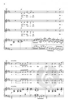 Blogoslawieni mi?osierni von Marek Raczynski 