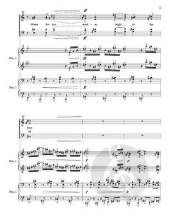 The Song We Sing von William Averitt 