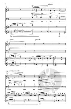 Lux Brumalis von Nathaniel Adams 