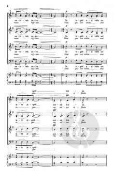 Sudraba Meness von Laura Jekabsone 