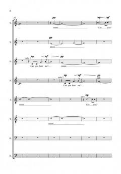 Can you hear me? von Sally Beamish 