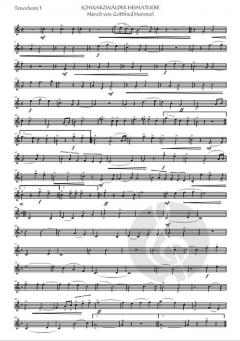 SCHWARZWÄLDER HEIMATLIEBE von Gottfried Hummel 