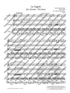 Der Schwan von Camille Saint-Saëns 