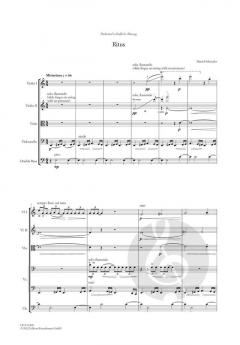 Ritus von Daniel Schnyder 