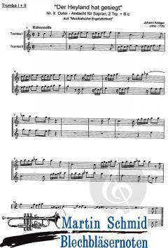 Der Heyland hat gesiegt Nr.X Oster-Andacht 