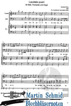 Laudate Pueri 