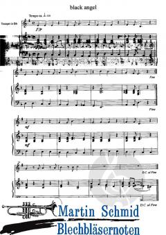 Funs (+CD) von Michael Koch 