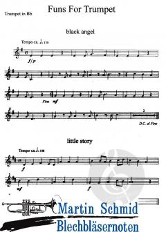 Funs (+CD) von Michael Koch 