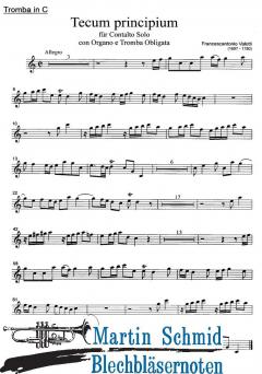 Arie 'Tecum principium' 