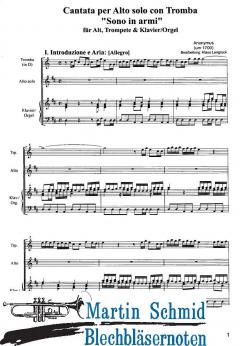 Sono in armi von Anonymus 