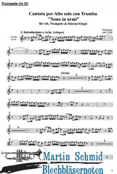 Sono in armi von Anonymus 