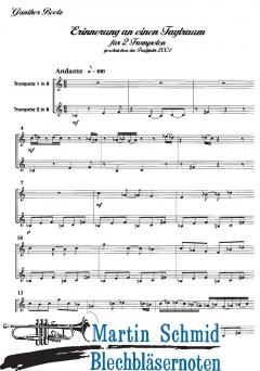 Erinnerung an einen Tagtraum (+CD) 