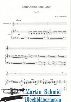 Variazioni brillanti op.13 