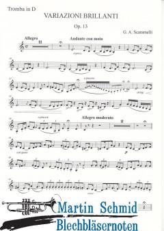 Variazioni brillanti op.13 