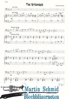 The Stranger von Martin Klaschka 