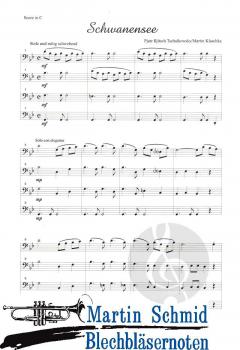 Schwanensee von Peter Iljitsch Tschaikowsky 