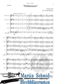 Themen aus 'Carmen' von Georges Bizet 