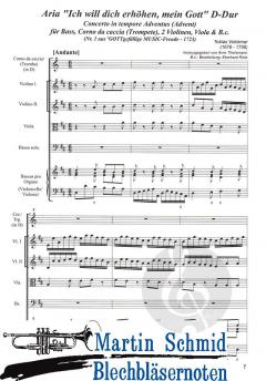 Ich will dich erhöhen mein Gott 